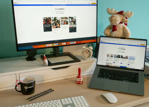 free internship in Chennai for Web Designing & Development