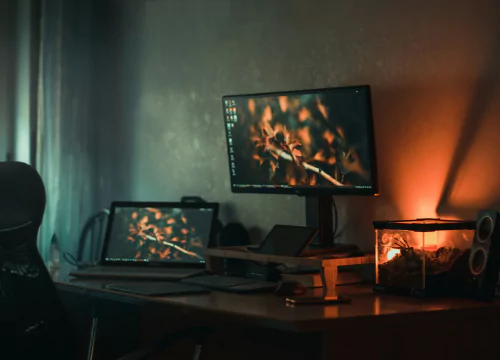 free internship in Chennai for Web Designing & Development